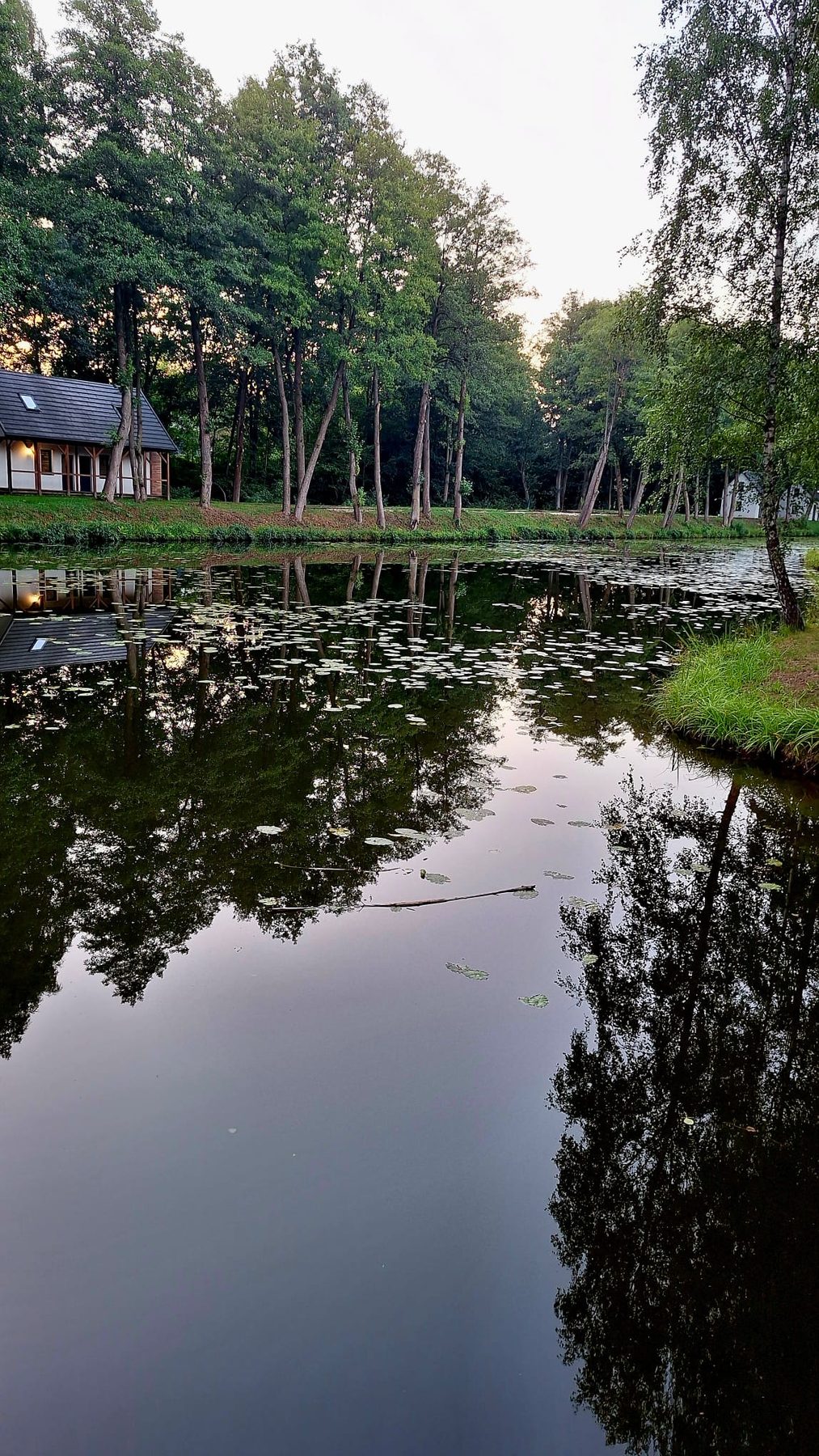 Zdjęcie od Aga